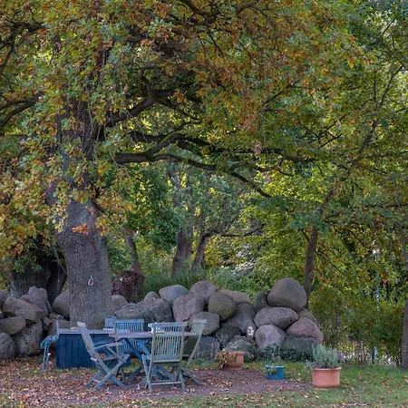 Inselblick - Am Schweriner Flessenow
