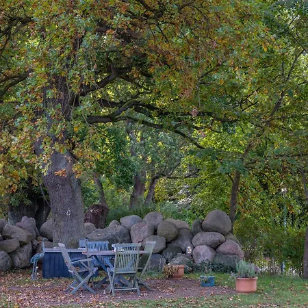 Inselblick - Am Schweriner Flessenow